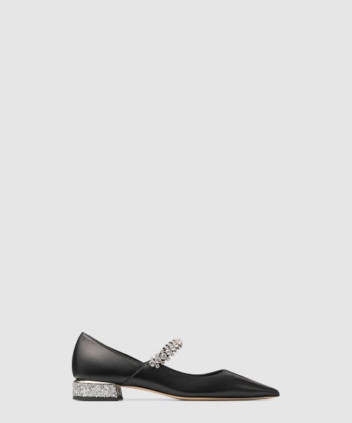 Ice pump flat